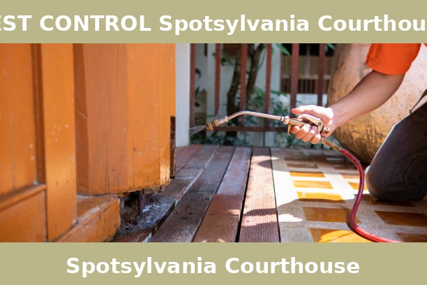 PEST CONTROL Spotsylvania Courthouse